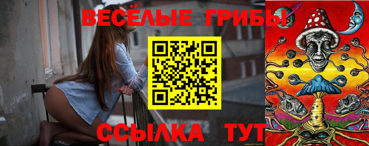 Камышлов  Псилоцибиновые грибы Magic Shrooms  Вход с VPN  Галлюциногенные грибы мицелий 